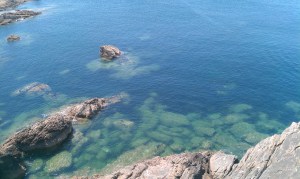 Non, vous n'irez pas profiter de cette eau... Ca vole!