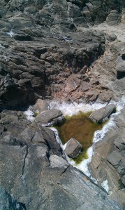 Des trésors de l'Ile... Non ce n'est pas de l'huile.