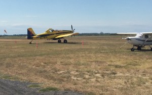 Un belge pour balancer de l'eau sur les feux :)